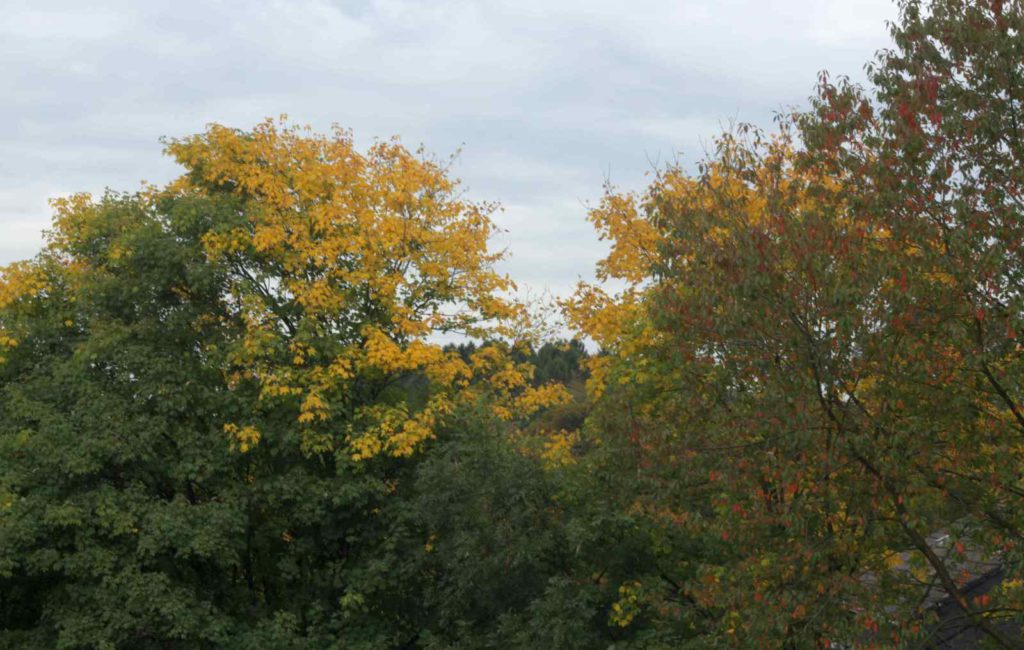 Der Herbst kommt